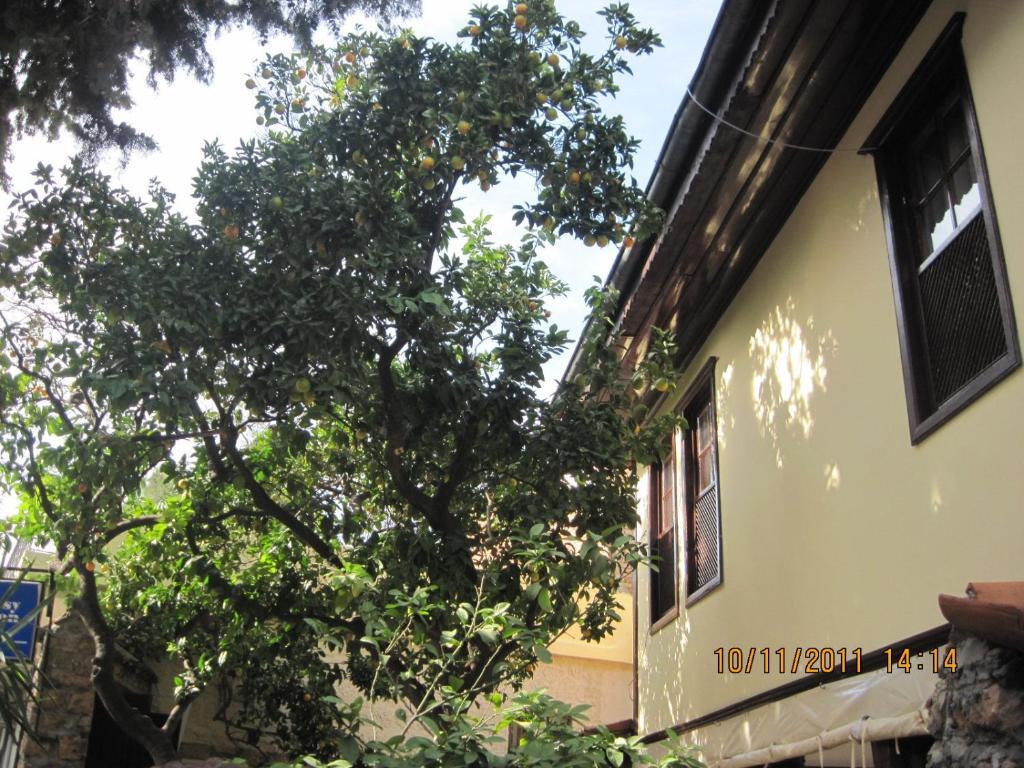 Afflon Hotels Old Marin Antalya Ngoại thất bức ảnh